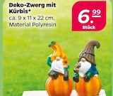 Deko-Zwerg mit Kürbis im Angebot bei Netto mit dem Scottie in Neumünster Deko-Zwerg mit Kürbis Angebote bei Netto mit dem Scottie Neumünster für 6,99 €