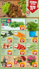 Aktueller REWE Prospekt mit Gartenmöbel, "Dein Markt", Seite 7