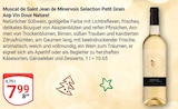 Muscat de Saint Jean de Minervois Selection Petit Grain Aop Vin Doux Naturel im Angebot bei GLOBUS in Frechen Muscat de Saint Jean de Minervois Selection Petit Grain Aop Vin Doux Naturel Angebote bei GLOBUS Frechen für 7,99 €