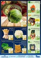 Spargel im Marktkauf Prospekt in Wismar Aktueller Marktkauf Prospekt mit Spargel, "Top Angebote", Seite 11