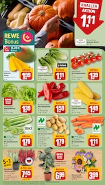 Ähnliche Sommerflieder Angebote im Prospekt "Dein Markt" von REWE in Mainz Ähnliche Angebote wie Sommerflieder im Prospekt "Dein Markt" auf Seite 7 von REWE in Mainz