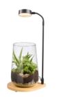 Plante verte avec lampe de bureau - Lidl à Metz Plante verte avec lampe de bureau en promo chez Lidl Metz à 24,99 €