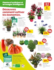 Plantes Angebote im Prospekt "Les Jours TRUFFoh !" von Truffaut Plantes Angebote im Prospekt "Les Jours TRUFFoh !" von Truffaut auf Seite 2