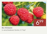 Bio-Himbeere von  im aktuellen Pflanzen Kölle Prospekt für 6,99 €