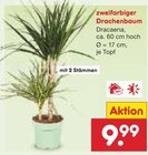 Angebot im Netto Marken-Discount Dennheritz Prospekt Netto Marken-Discount Dennheritz Prospekt mit im Angebot für 9,99 €