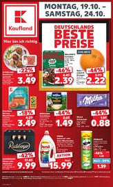 Persil im Kaufland Prospekt in Villingen-Schwenningen Aktueller Kaufland Prospekt mit Persil, "Hier bin ich richtig", Seite 5