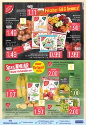 Aktueller Marktkauf Prospekt mit Garten, "Top Angebote", Seite 7