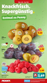 Aktueller Penny Prospekt mit Kiwi, "Wer günstig will, muss Penny.", Seite 2