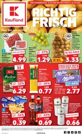 Aktueller Kaufland Supermarkt Prospekt in Lauenförde und Umgebung, "Aktuelle Angebote" mit 64 Seiten, 16.10.2025 - 22.10.2025