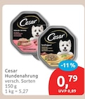 Hundenahrung von Cesar im aktuellen budni Prospekt