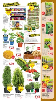 Rosmarin im aktuellen Jawoll Prospekt (Essen) Rosmarin im Jawoll Prospekt "Sonderposten-Märkte" mit 16 Seiten (Essen)