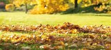 Bio Herbst-Rasendünger Angebote von Compo bei Globus-Baumarkt Oldenburg für 24,99 €