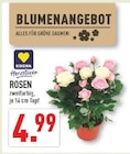 Angebot im Marktkauf Oelde Prospekt Marktkauf Oelde Prospekt mit im Angebot fĂŒr 4,99 âŹ