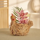 Orchidée 2 fleurons poule en osier - CARREFOUR - Carrefour à Tours Orchidée 2 fleurons poule en osier - CARREFOUR en promo chez Carrefour Tours à 9,99 €