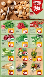 Aktueller REWE Prospekt mit Tulpen, "Dein Markt", Seite 9