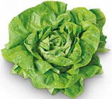 Aktuelles Kopfsalat Angebot bei REWE in Duisburg ab 1,11 €