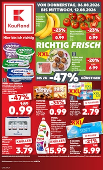 Aktueller Kaufland Prospekt (Trittau, 64 Seiten zum blättern Kaufland Prospekt Hier bin ich richtig mit 64 Seiten