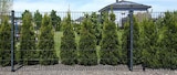 Zaunpfosten Angebote bei Hagebaumarkt Siegen für 29,99 €