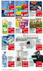 Aktueller Kaufland Prospekt mit Kratzbaum, "Aktuelle Angebote", Seite 31