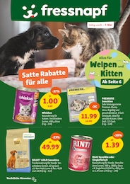 Fressnapf Katzenstreu im Prospekt 