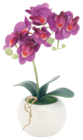 Promo Orchidées 2 branches à 5,99 € dans le catalogue Bazarland à Nyons