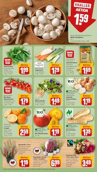 Brot im REWE Prospekt "Dein Markt" mit 22 Seiten (Offenbach (Main))