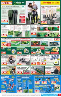 Teppichboden im Norma Prospekt "Mehr fürs Geld" mit 22 Seiten (Magdeburg)