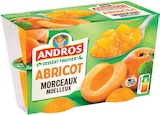 Compote Morceaux Abricot - Andros - Intermarché Express Compote Morceaux Abricot - Andros à 0,87 € dans le catalogue Intermarché Express