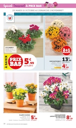 Prix et réduction Plantes dans le prospectus U Express en cours Offre Plantes dans le catalogue U Express du moment à la page 10