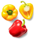 Aktuelles Bio-Paprika, rot und gelb Angebot bei Kaufland in Hannover ab 1,99 €