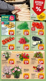 Dekoration im REWE Prospekt in Fulda Aktueller REWE Prospekt mit Dekoration, "Dein Markt", Seite 7