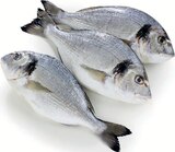 Daurade en promo chez Supermarchés Match Villeneuve-d'Ascq à 11,99 €