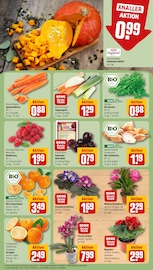 Kürbis im REWE Prospekt in Ludwigsburg Aktueller REWE Prospekt mit Kürbis, "Dein Markt", Seite 9