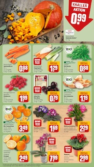 Gemüse im aktuellen REWE Prospekt (Freiburg (Breisgau)) Gemüse im REWE Prospekt "Dein Markt" mit 34 Seiten (Freiburg (Breisgau))