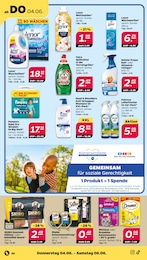 Shampoo Angebot & Preis im aktuellen Netto mit dem Scottie Prospekt Shampoo Angebot im aktuellen Netto mit dem Scottie Prospekt auf Seite 32