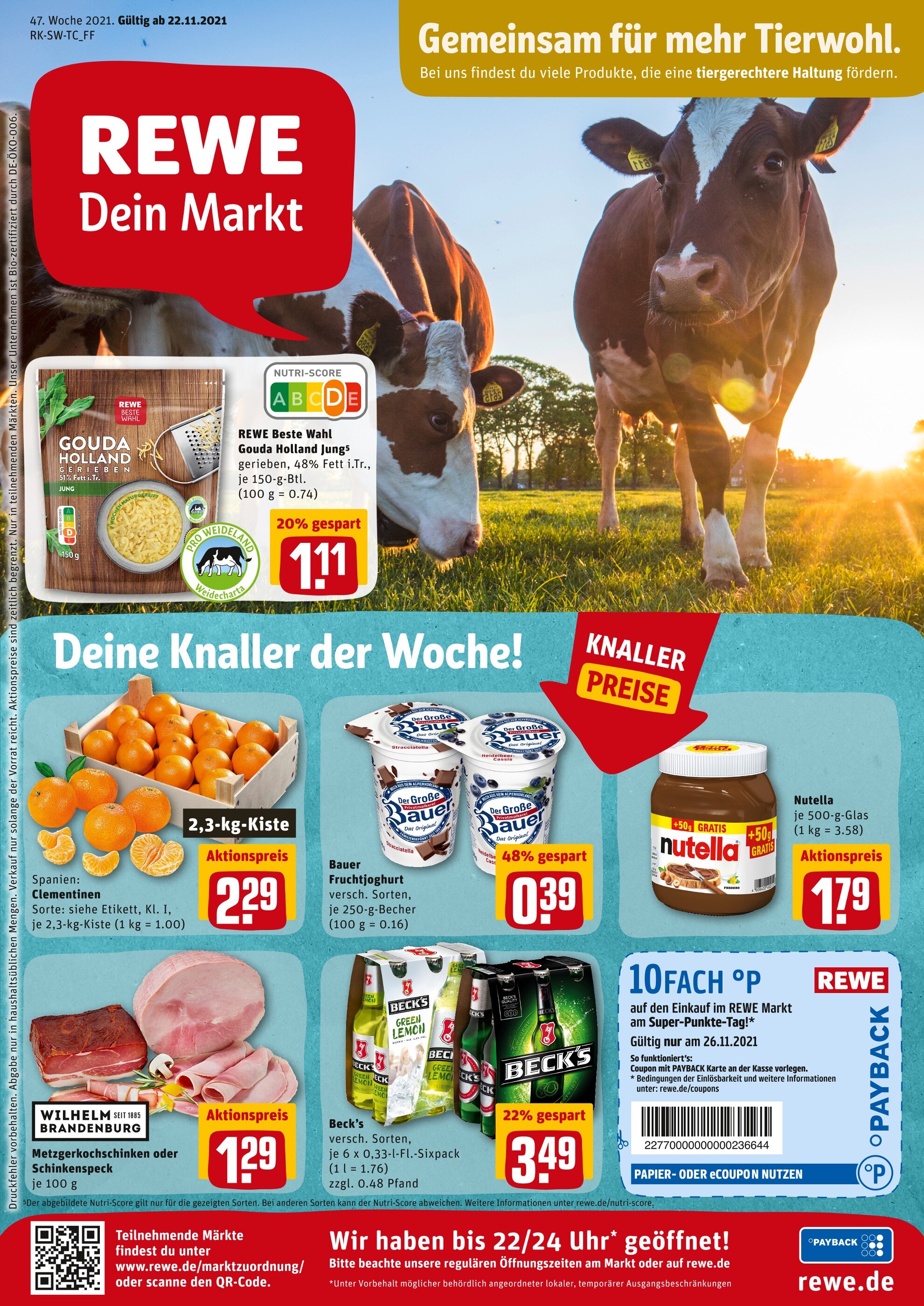 REWE Prospekt für Stuttgart mit 17 Seiten REWE Prospekt für Stuttgart: "Angebote im Markt", 17 Seiten, 22.11.2021 - 27.11.2021