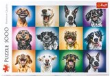 Puzzle 500-tlg. von Trefl für 5,99 € bei Netto mit dem Scottie im Angebot Puzzle 500-tlg. von Trefl im aktuellen Netto mit dem Scottie Prospekt