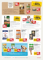 Catalogue Animalis en cours à Saint-Médard-en-Jalles, "Sommeil assuré, à prix légers !", Page 3