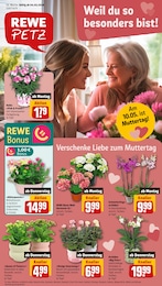 REWE Prospekt mit 30 Seiten (Neunkirchen)