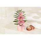 Orchidée 3 fleurons vase céramique - Carrefour Market à Mérignac Orchidée 3 fleurons vase céramique en promo chez Carrefour Market Mérignac à 8,99 €