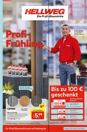 WPC Terrassendielen im Hellweg Prospekt Die Profi-Baumärkte auf S. 1