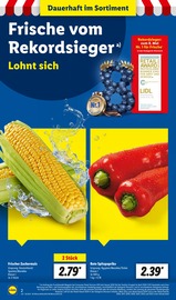 Paprika im Lidl Prospekt in Ansbach Aktueller Lidl Prospekt mit Paprika, "LIDL LOHNT SICH", Seite 2