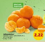 Penny-Markt - Saftmandarinen Angebot im Prospekt Saftmandarinen bei Penny-Markt im Prospekt "" für 2,22 €
