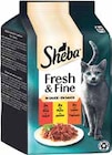 Fresh & Fine / Cuisine im Angebot bei V-Markt in Kempten Fresh & Fine / Cuisine Angebote von Sheba bei V-Markt Kempten für 1,99 €