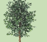 Ficus pot plastique H.210cm à 99,99 € dans le catalogue Maxi Bazar