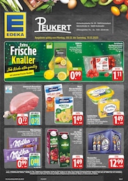 EDEKA Prospekt für Speinshart mit 28 Seiten EDEKA Prospekt "Wir lieben Lebensmittel!" für Speinshart, 28 Seiten, 08.12.2025 - 13.12.2025