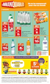 Vodka Angebote im Prospekt "LES IMMANQUABLES" von Netto Vodka Angebote im Prospekt "LES IMMANQUABLES" von Netto auf Seite 11