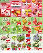 Badmöbel im Kaufland Prospekt in Rüsselsheim Aktueller Kaufland Prospekt mit Badmöbel, "Aktuelle Angebote", Seite 10
