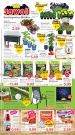 Aktueller Jawoll Discounter Prospekt in Zeven und Umgebung, "Sonderposten-Märkte" mit 16 Seiten, 20.04.2026 - 25.04.2026
