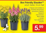 Aktuelle Zimmermann Angebote bei Zimmermann in Bremen Aktuelles Bee Friendly Stauden Angebot bei Zimmermann in Bremen ab 5,99 €